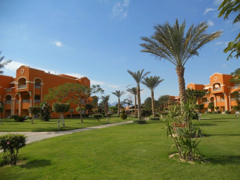 Красотища Sentido Caribbean World Soma Bay
