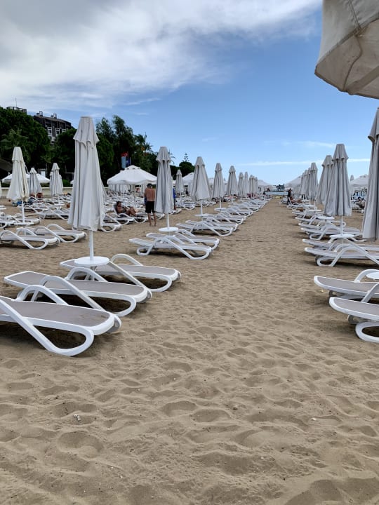 Strand PALOMA Perissia