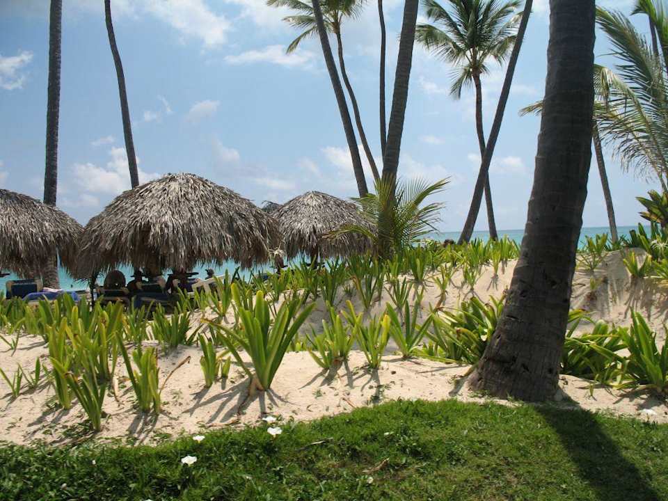 Blick auf den Strand Grand Palladium Select Bávaro Resort & Spa