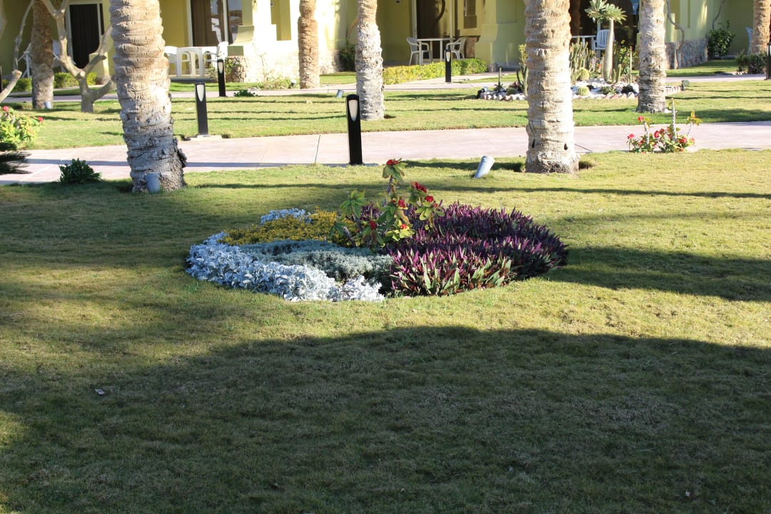 Gartenanlage Palm Beach Resort