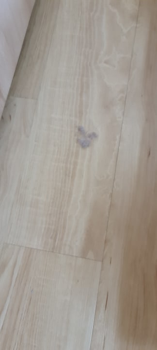 Zimmer Hotel Eden Spiez