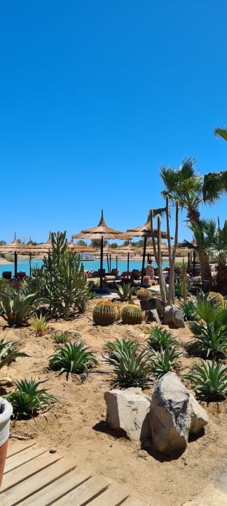 Gartenanlage Cook's Club El Gouna