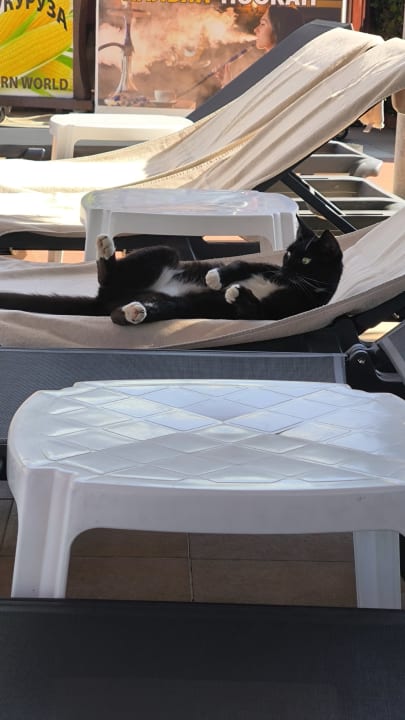 Sonstiges Le Jardin Resort