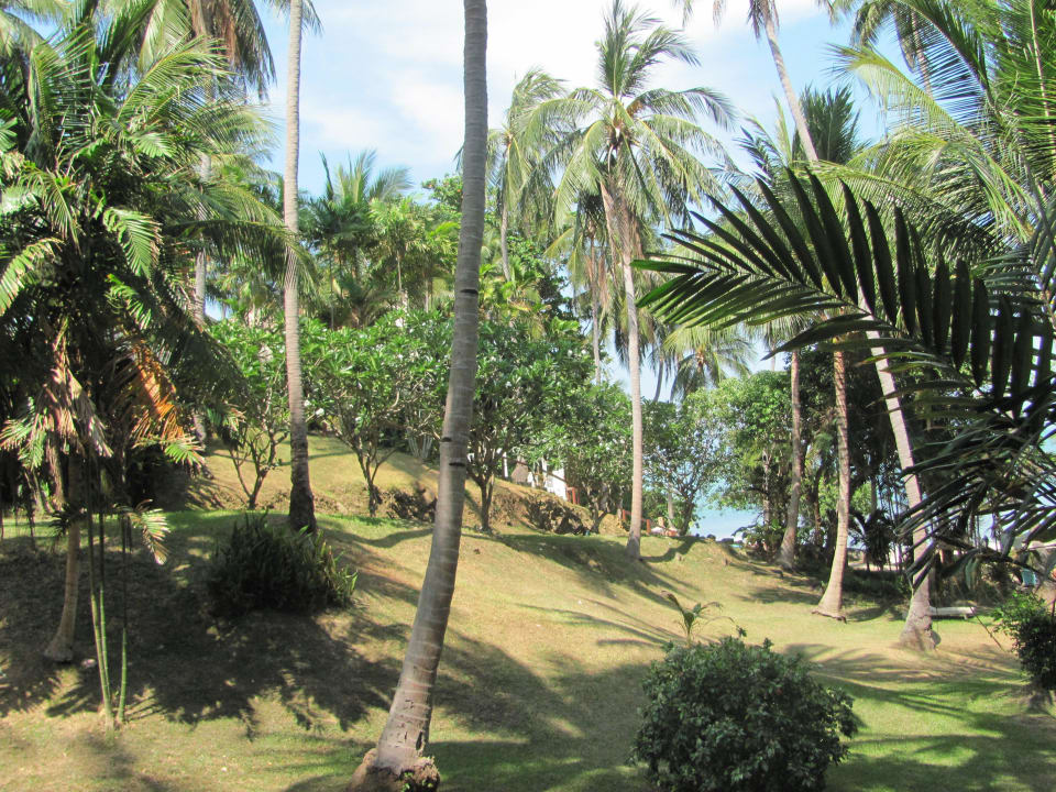 Tropischer Garten Cape Panwa Hotel