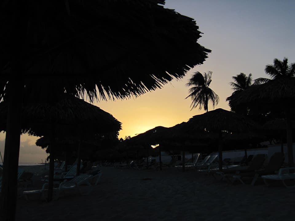 Sonnenaufgang Starfish Cuatro Palmas