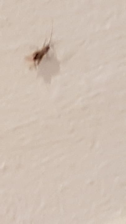 Zimmer Sentido Aequora Lanzarote Suite