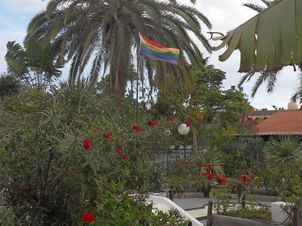 Gartenanlage Artemisa Gay Bungalows