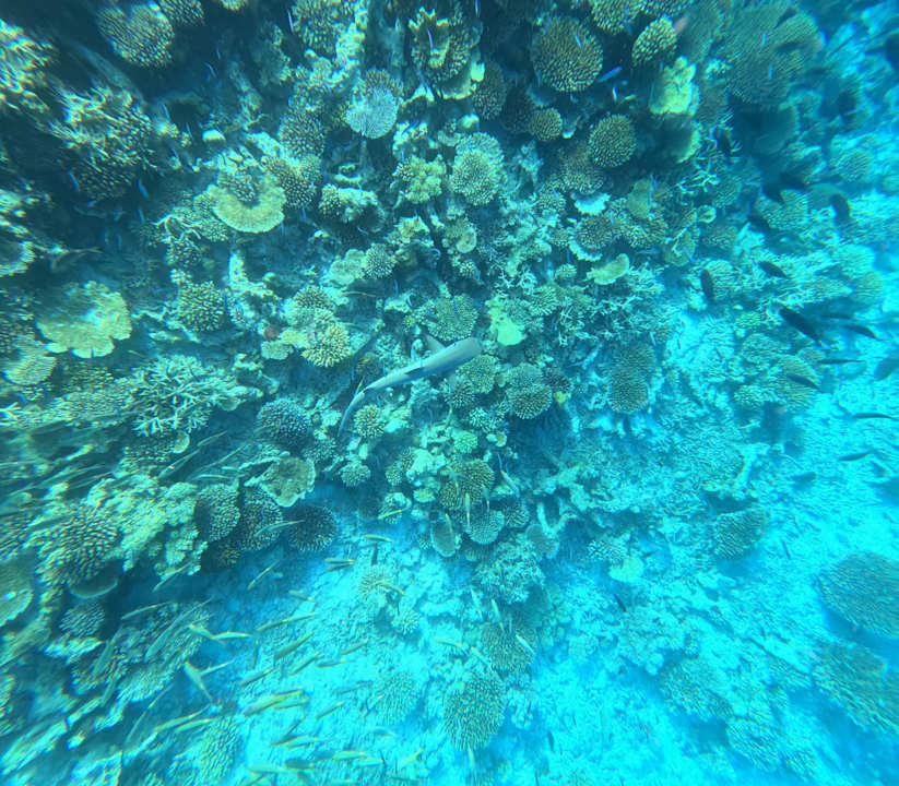 Strand Angaga Island Resort