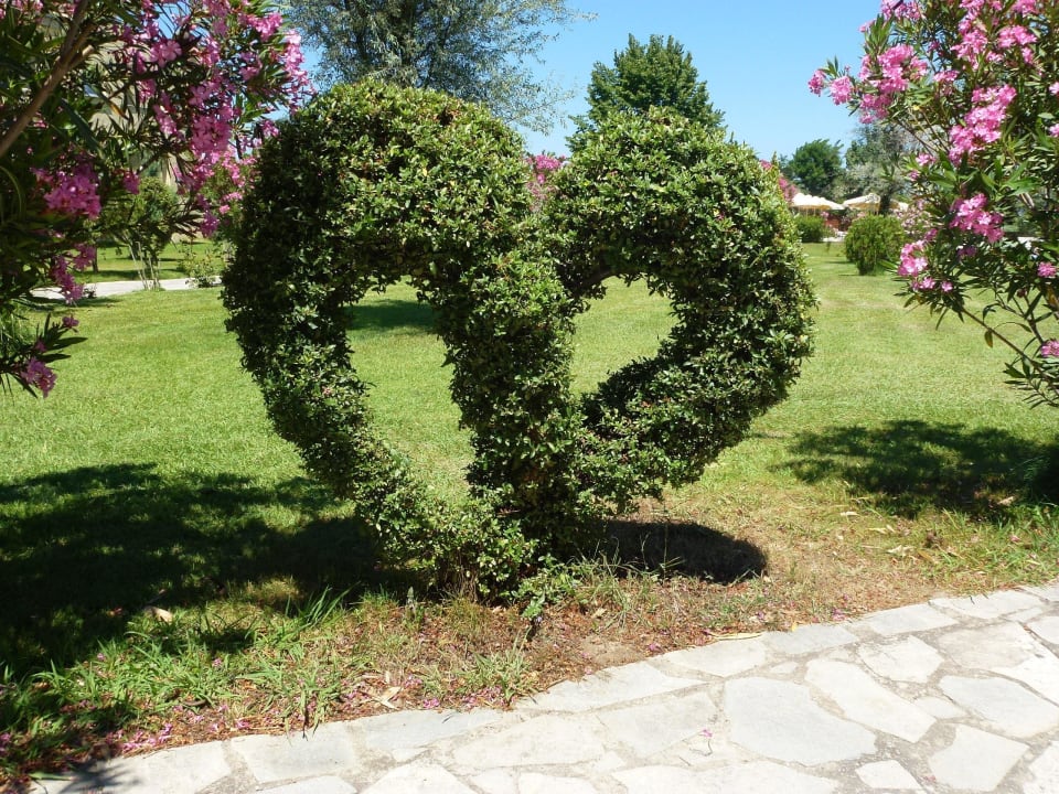 Mit Liebe gewachsen alltoura Club Hotel Poseidon Palace