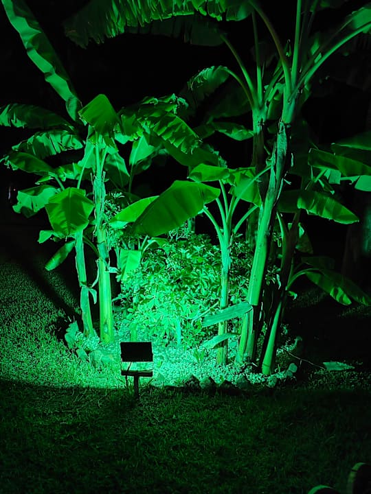 Gartenanlage Süral Saray Hotel