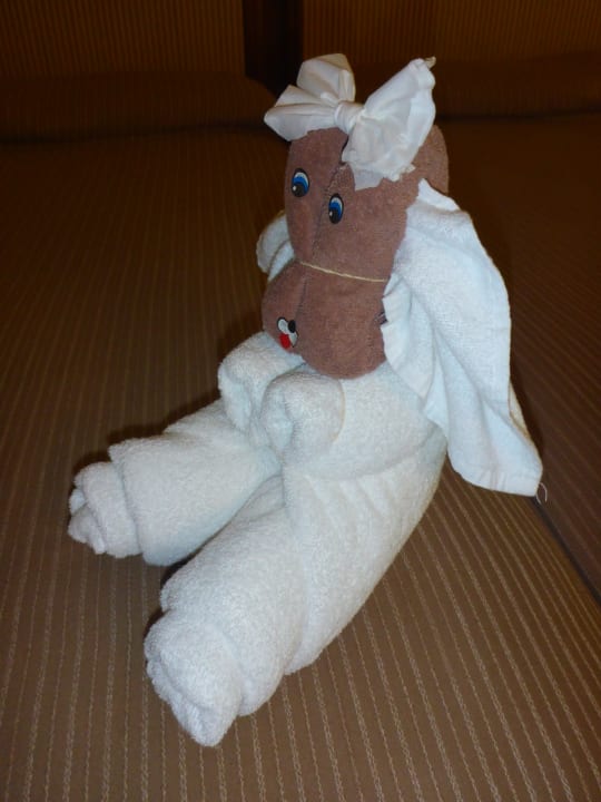 Zimmer Hotel Riu Tequila