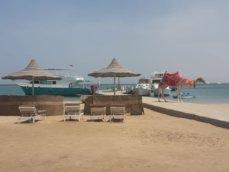 Strand Giftun Azur Resort