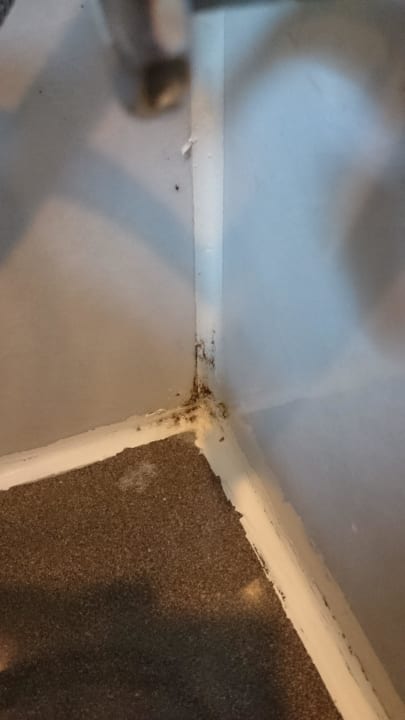 Bad Haupthaus Asteria Collection Side