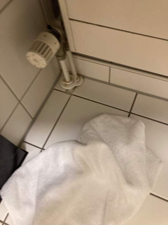 Zimmer Best Western Hotel Nürnberg City West