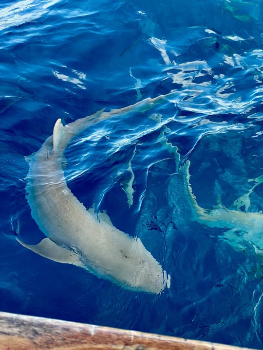 Sport & Freizeit Adaaran Club Rannalhi - All Inclusive