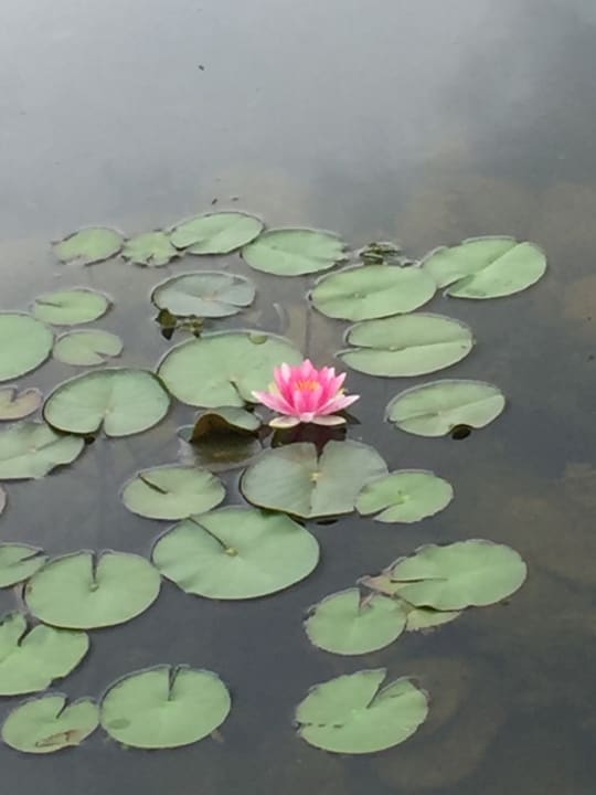 Außenansicht Vitalhotel Sonneck