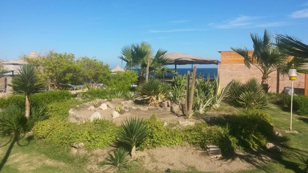 Akassia-Swiss-Resort - Dezember 2016 Sentido Akassia Beach