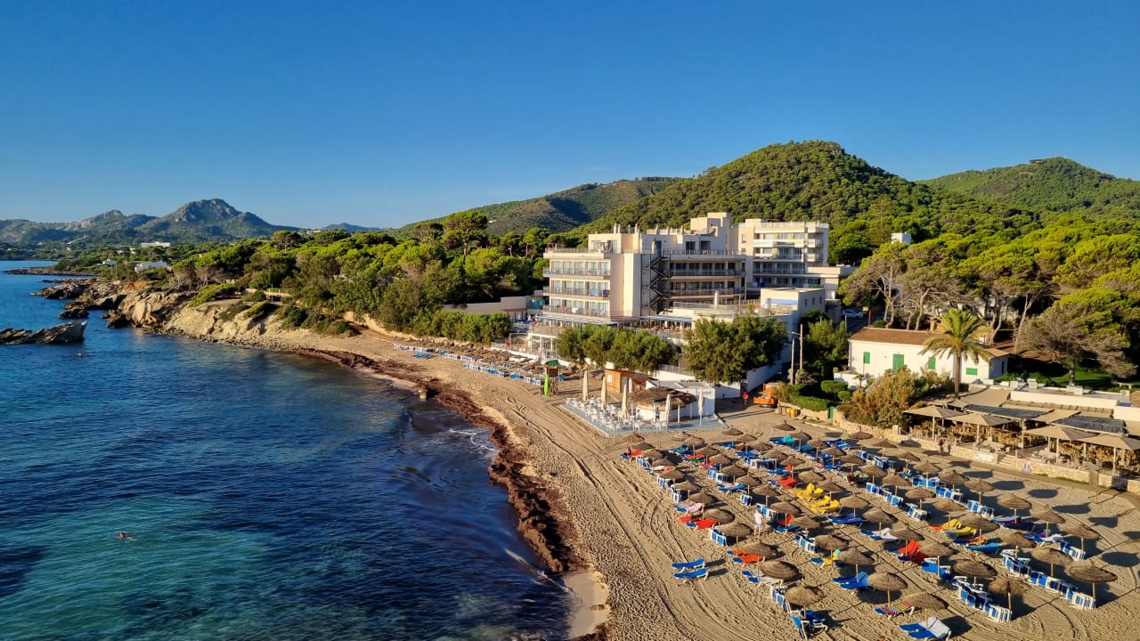 Zimmer Son Moll Sentits Hotel & Spa