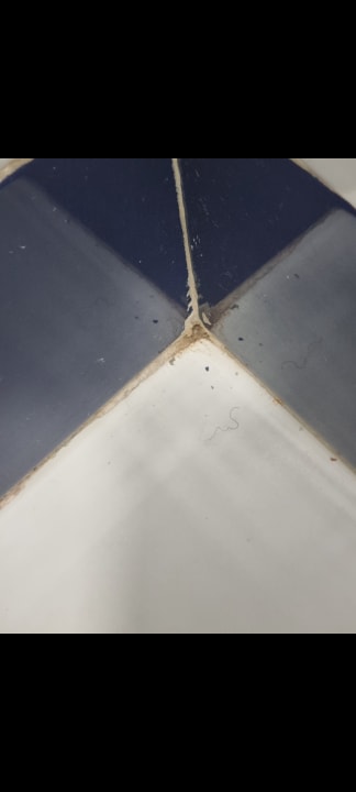 Zimmer Hipotels La Geria