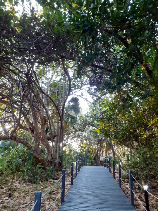 Gartenanlage Melia Las Antillas - Adults only