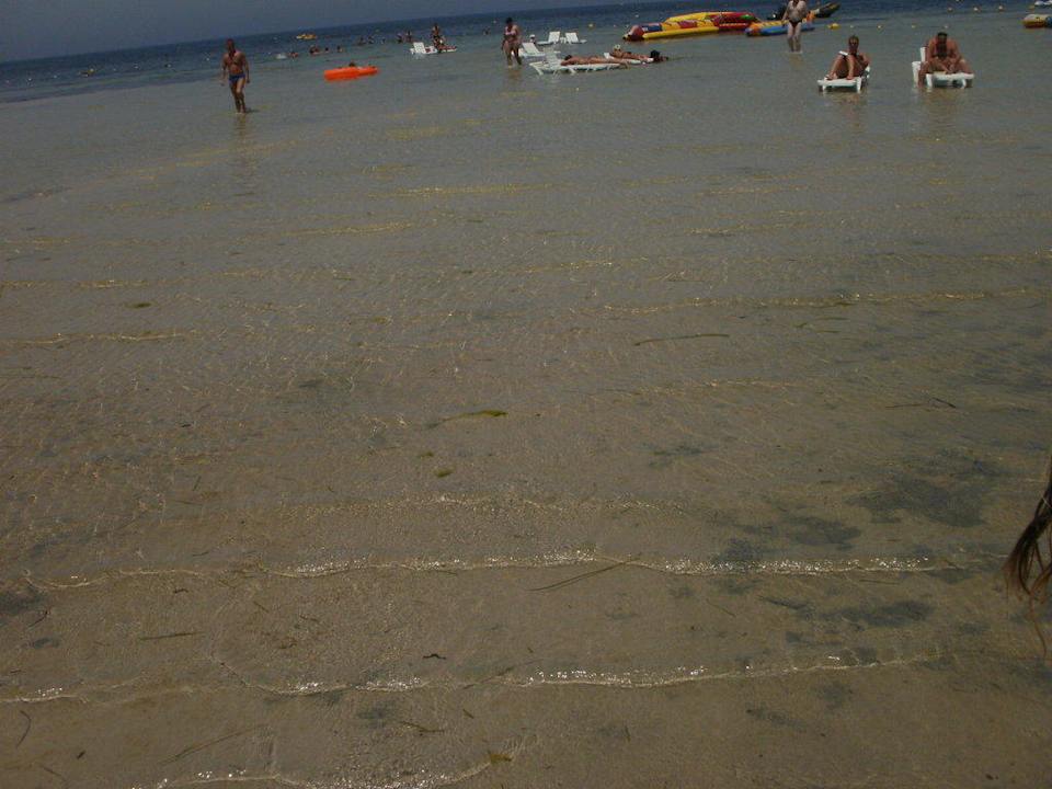 Leichte Ebbe Hotel Rosa Beach