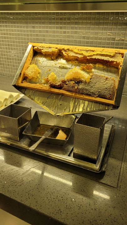 Gastro Royal Seginus