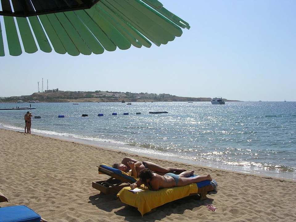 Glasklares Wasser Ghazala Gardens
