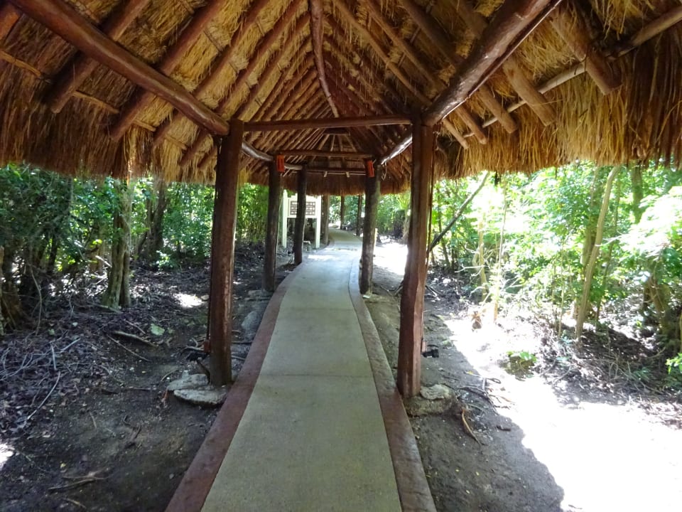 Gartenanlage Grand Palladium Select White Sand Resort & Spa