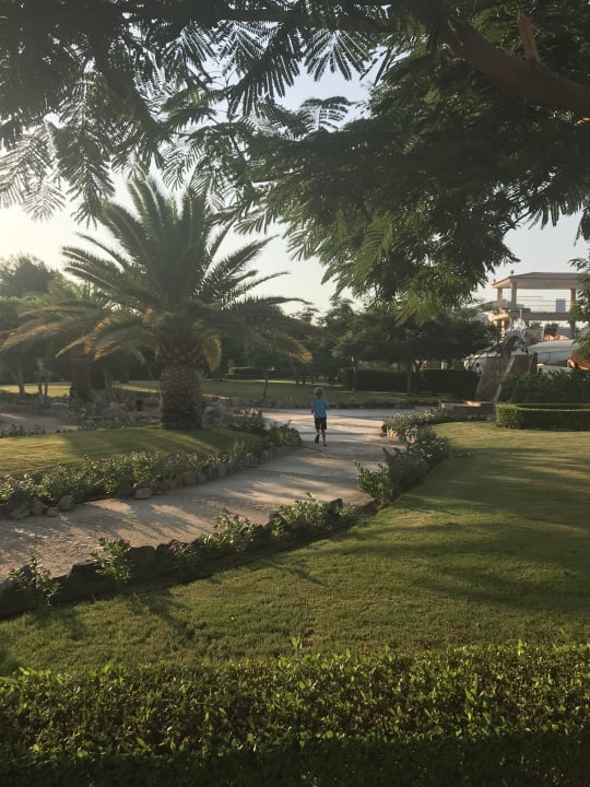 Gartenanlage Desert Rose