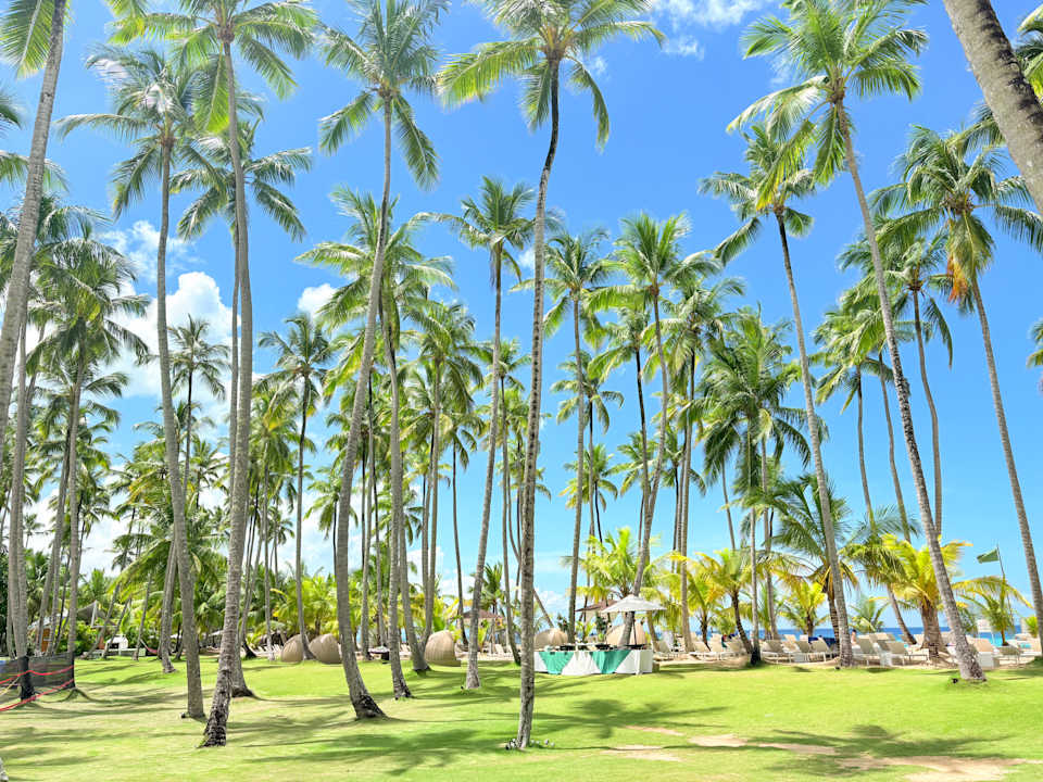 Pool Viva V Samana by Wyndham – Adults Only