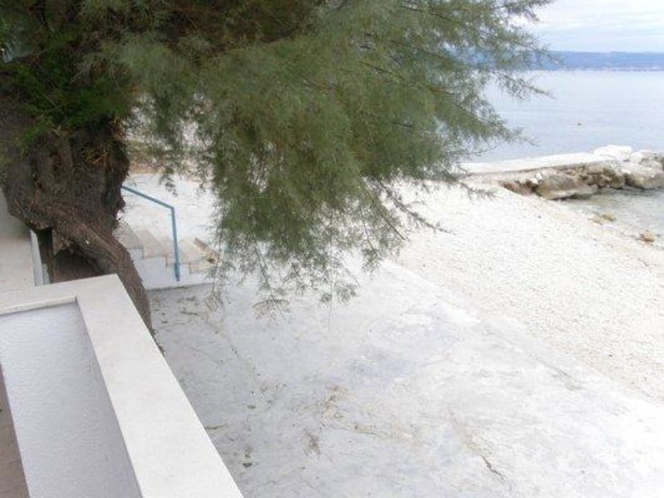 Pansion Zanic Pansion Zanic