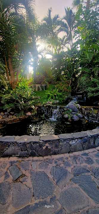 Gartenanlage allsun Hotel Lucana