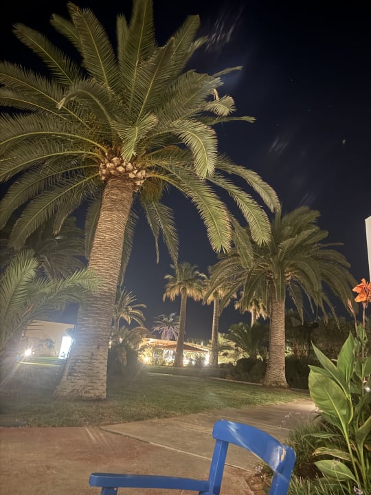 Gartenanlage Anissa Beach & Village