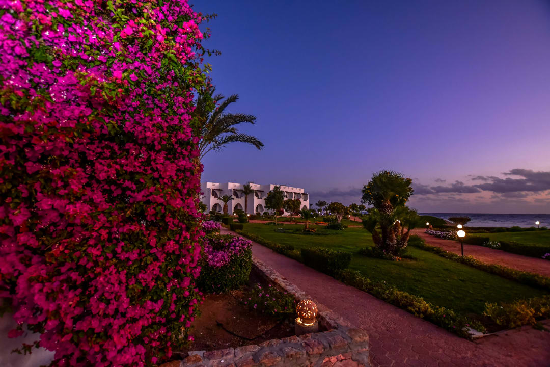 Ausblick Three Corners Equinox Beach Resort