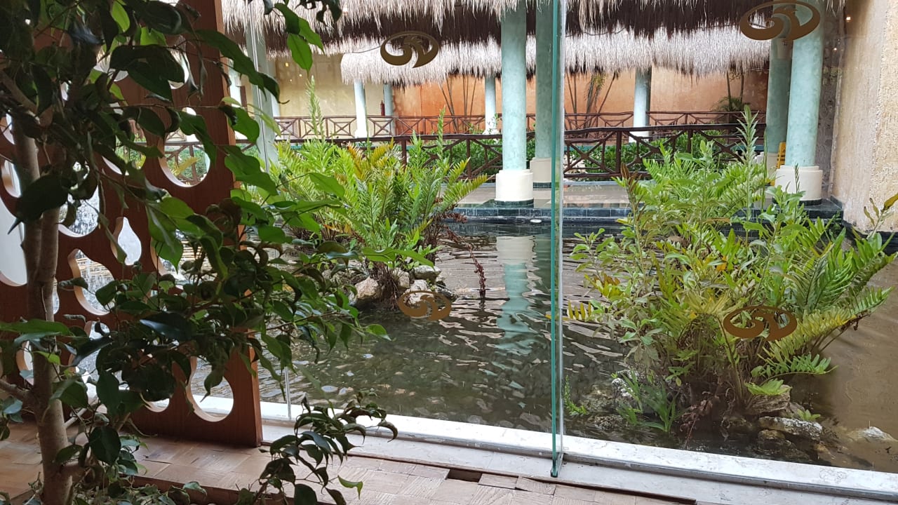 Gartenanlage Grand Palladium Kantenah Resort & Spa