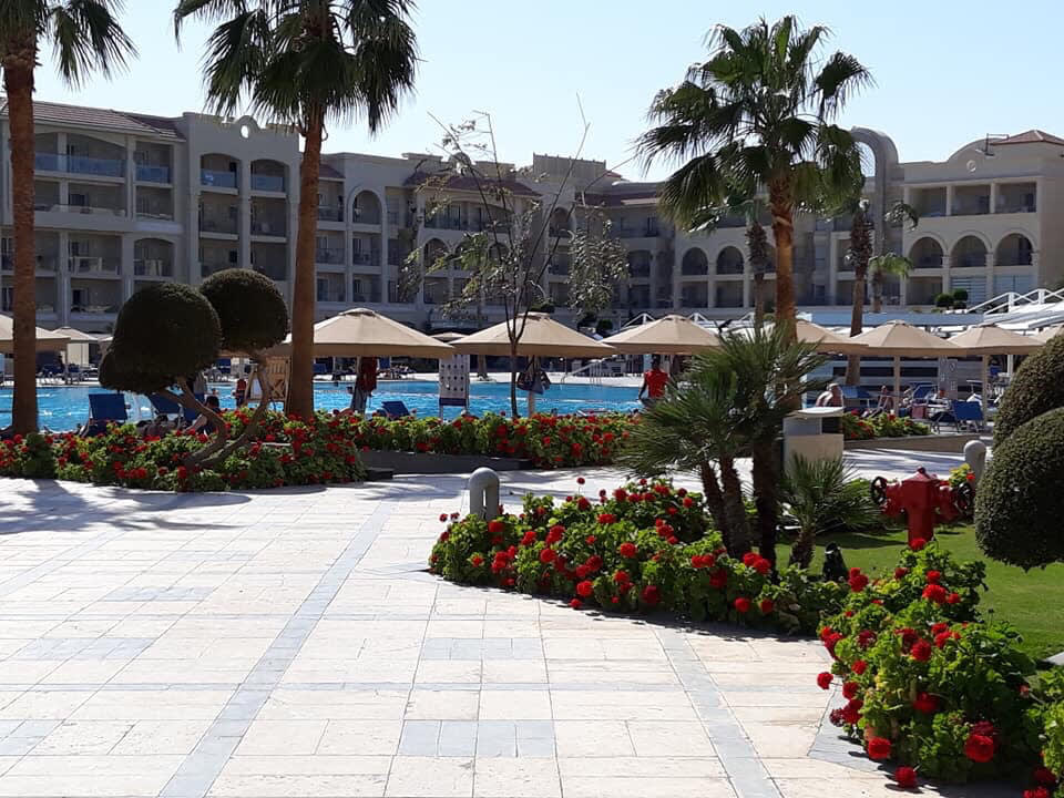 Pool Pickalbatros White Beach Resort - Hurghada