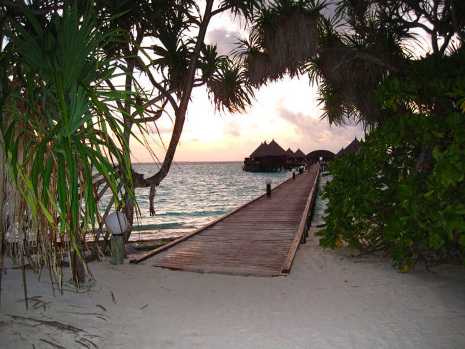 Holzsteg zu den Wasserbungalows Angaga Island Resort