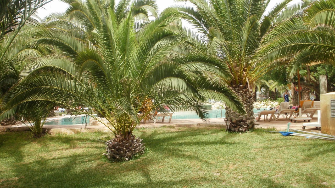 Salzwasser-Pool Hotel Méditerranée Thalasso Golf