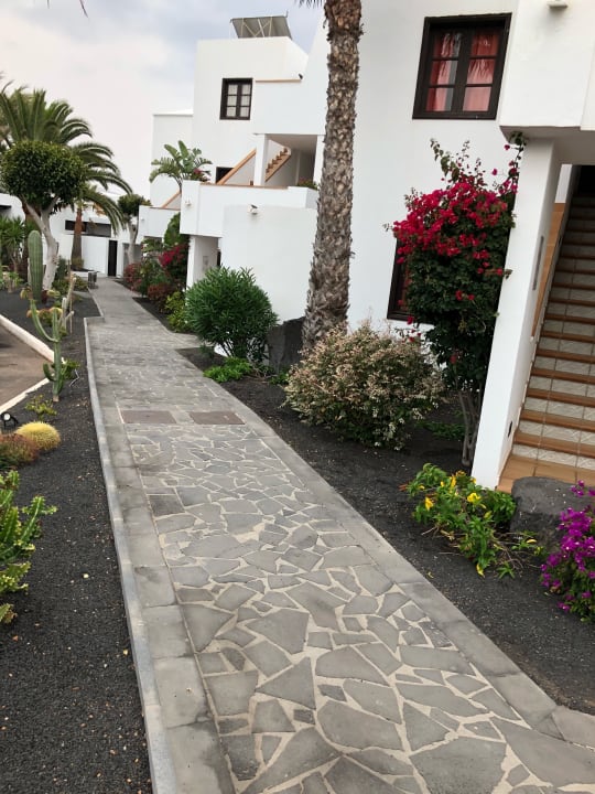 Gartenanlage allsun App.-Hotel Albatros