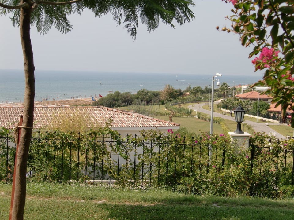 Von der Poolbar Alba Queen Hotel