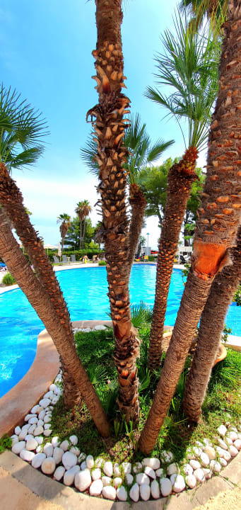 Pool allsun App.-Hotel Orquidea Playa