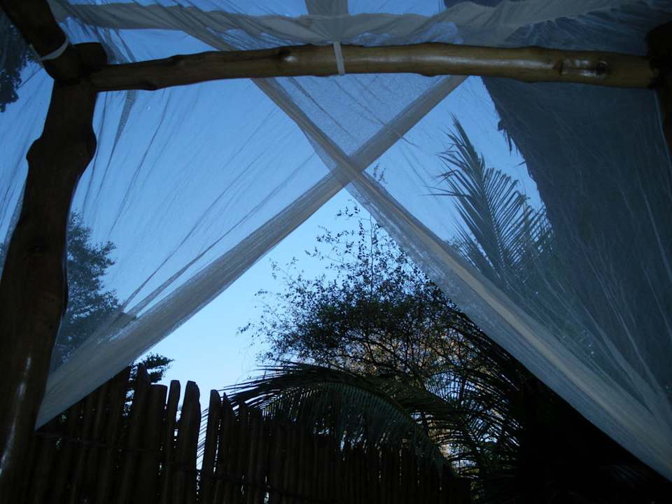 Auf der Terrasse Hotel Karibuni Rafiki Beach Resort