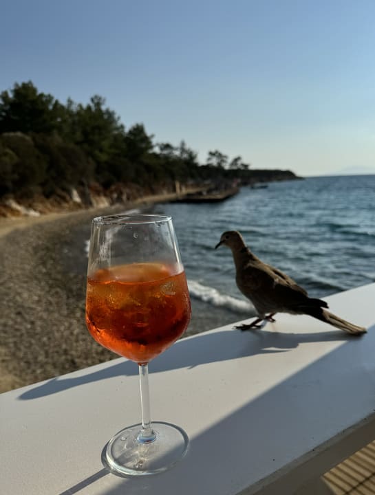 Gastro Hapimag Sea Garden Resort