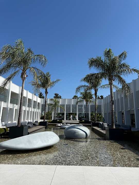 Sonstiges Paloma Finesse