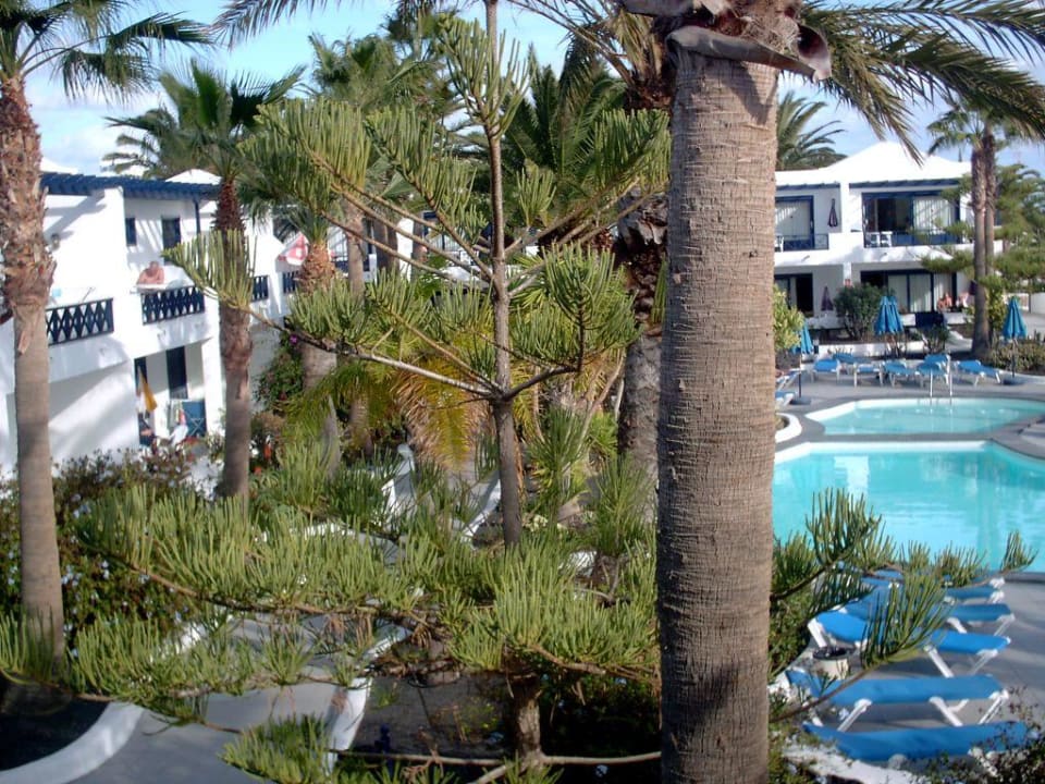 Garten- und Poolansicht Bungalows & Appartements Playamar