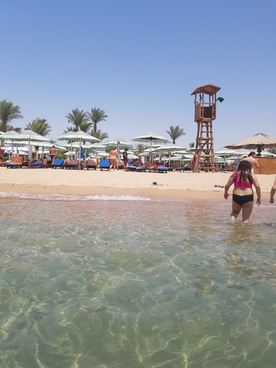 Strand Ghazala Gardens