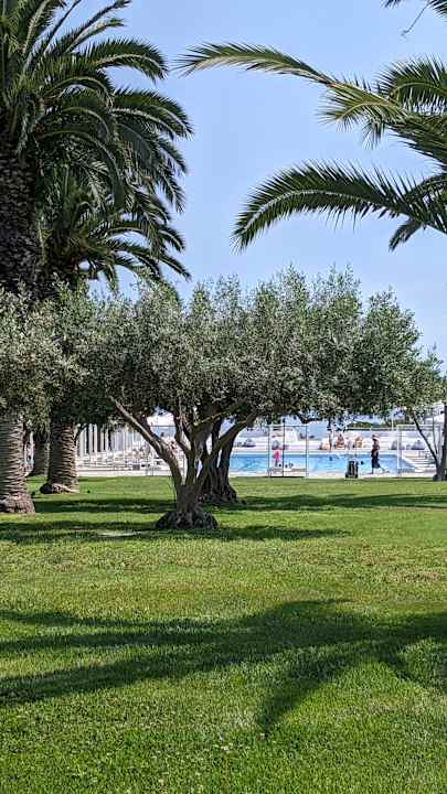 Pool Kassandra Palace Seaside Resort