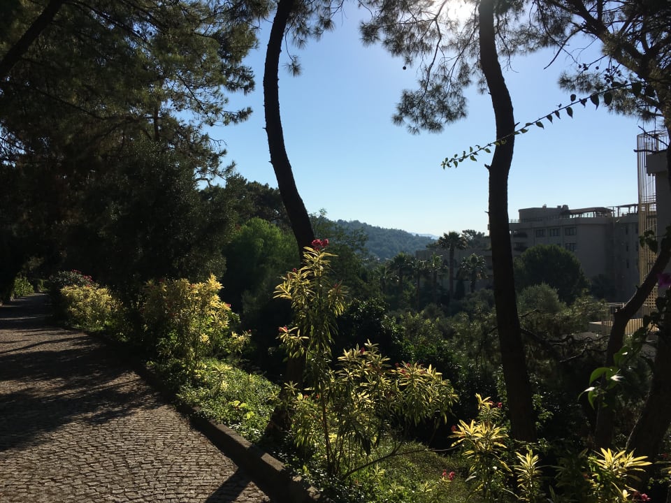 Ausblick TUI MAGIC LIFE Sarigerme
