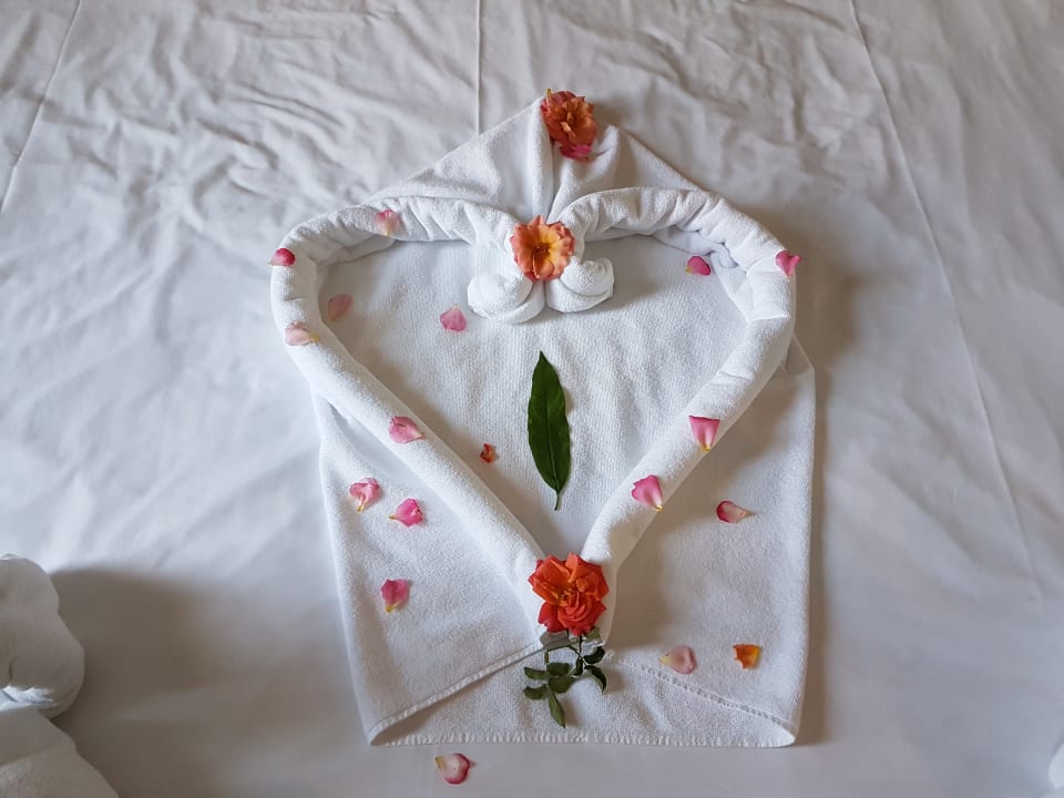 Zimmer Marvida Family Eco