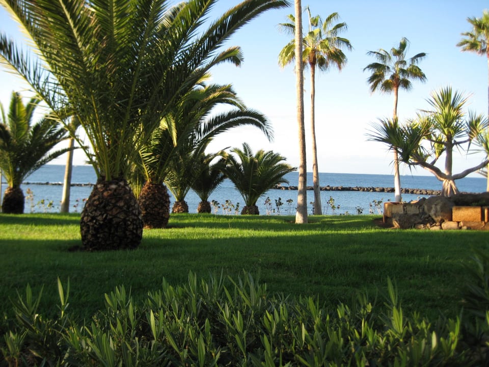 Ausblick von der Sonnenliege aufs Meer Hotel Riu Palace Tenerife